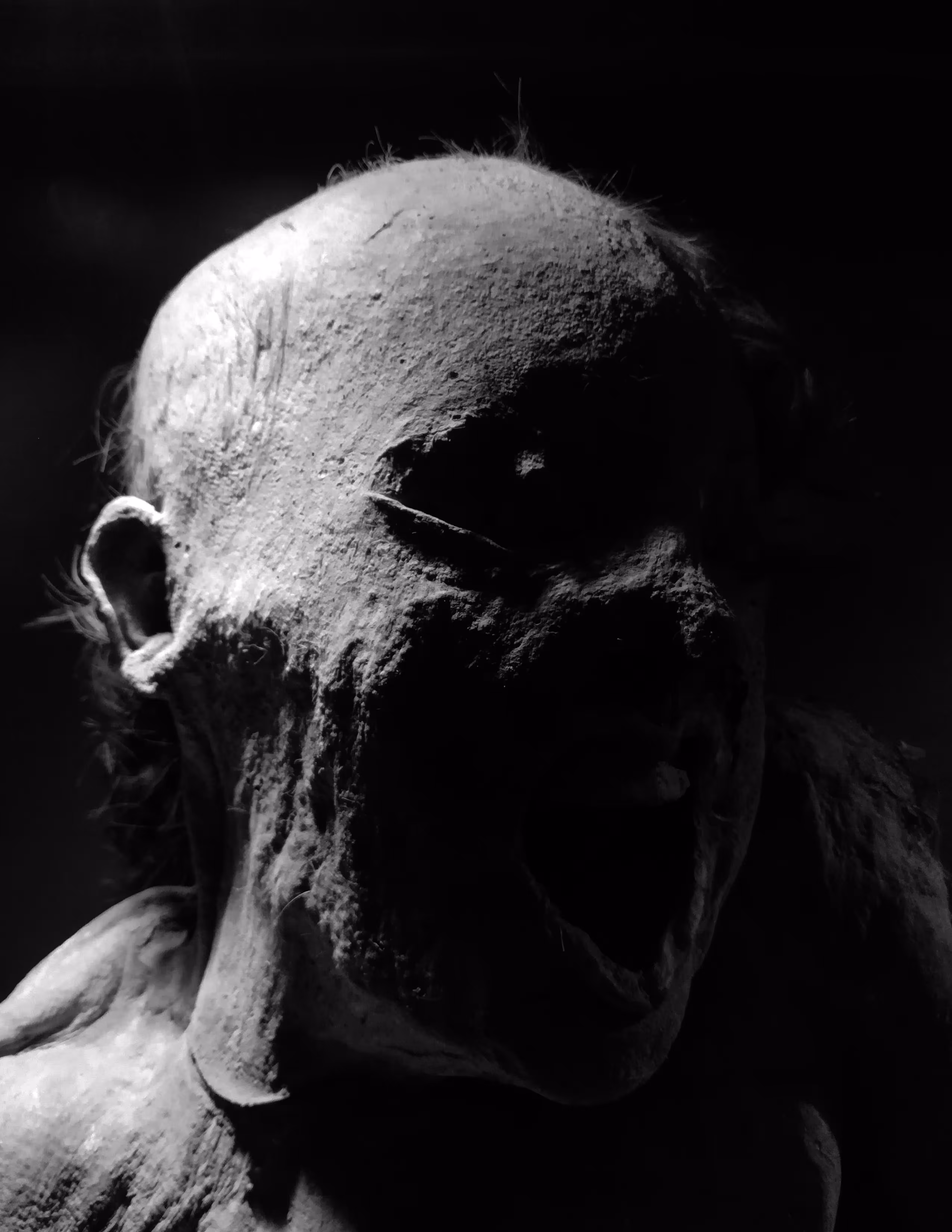 war cry | cri de guerre | grito de guerra