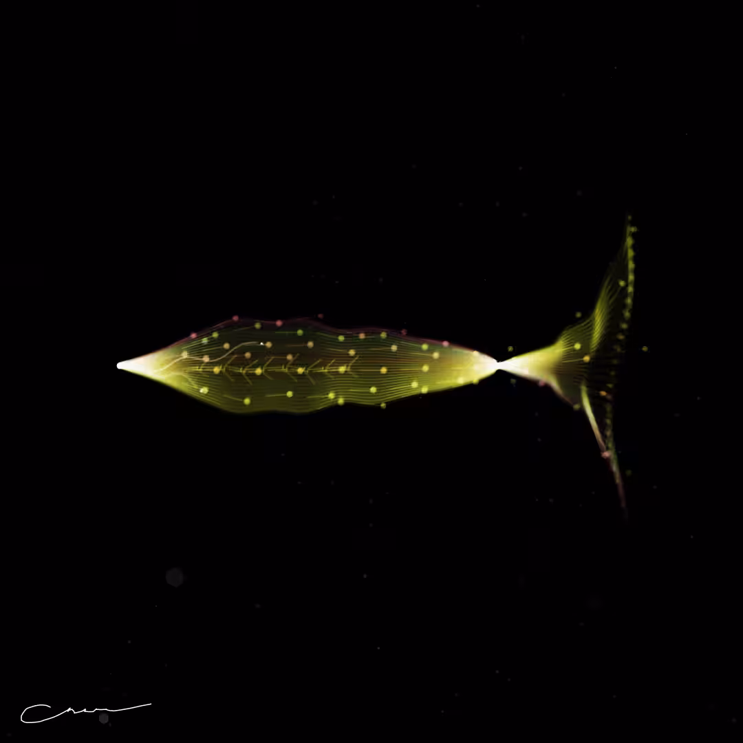 SoulFish #125