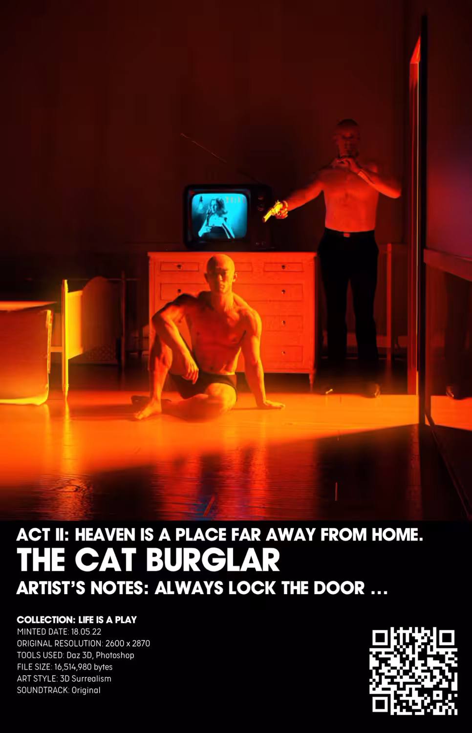 The Cat burglar