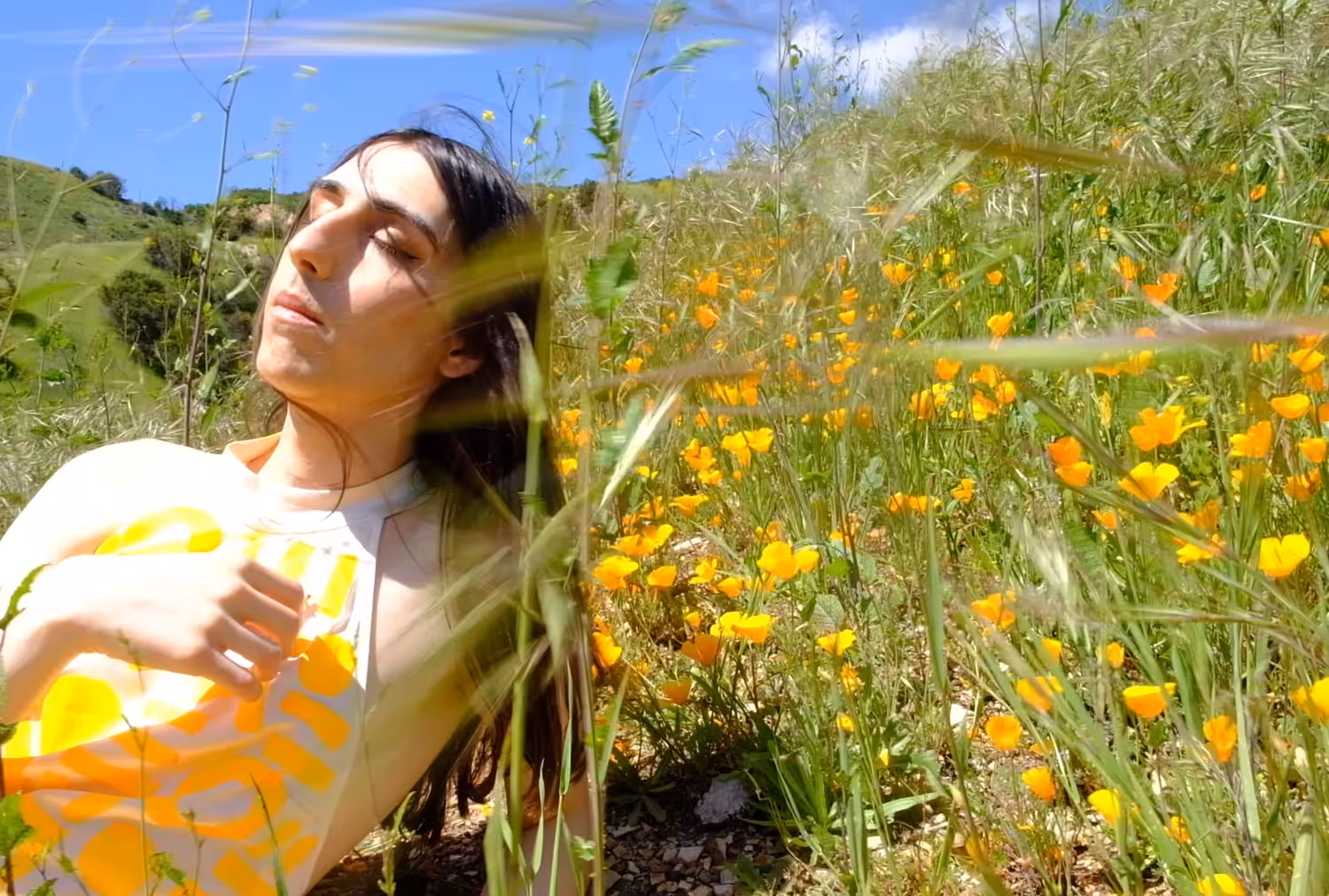 Allure of the Poppy #14