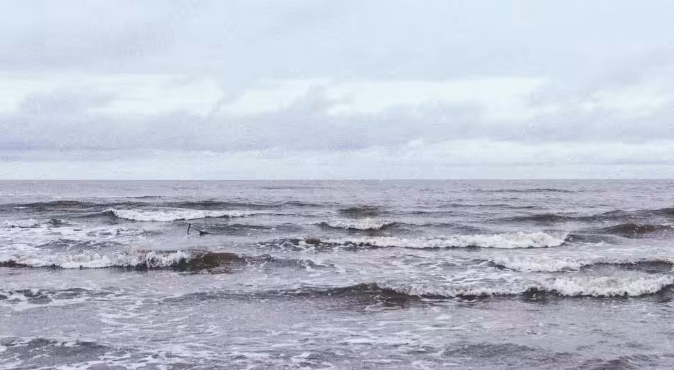 Echoes of Nature
