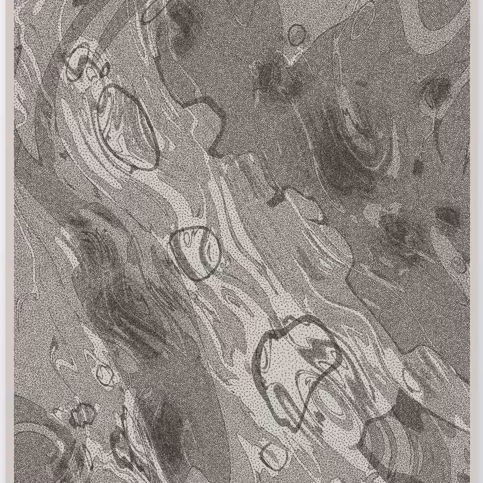 Caustics #95