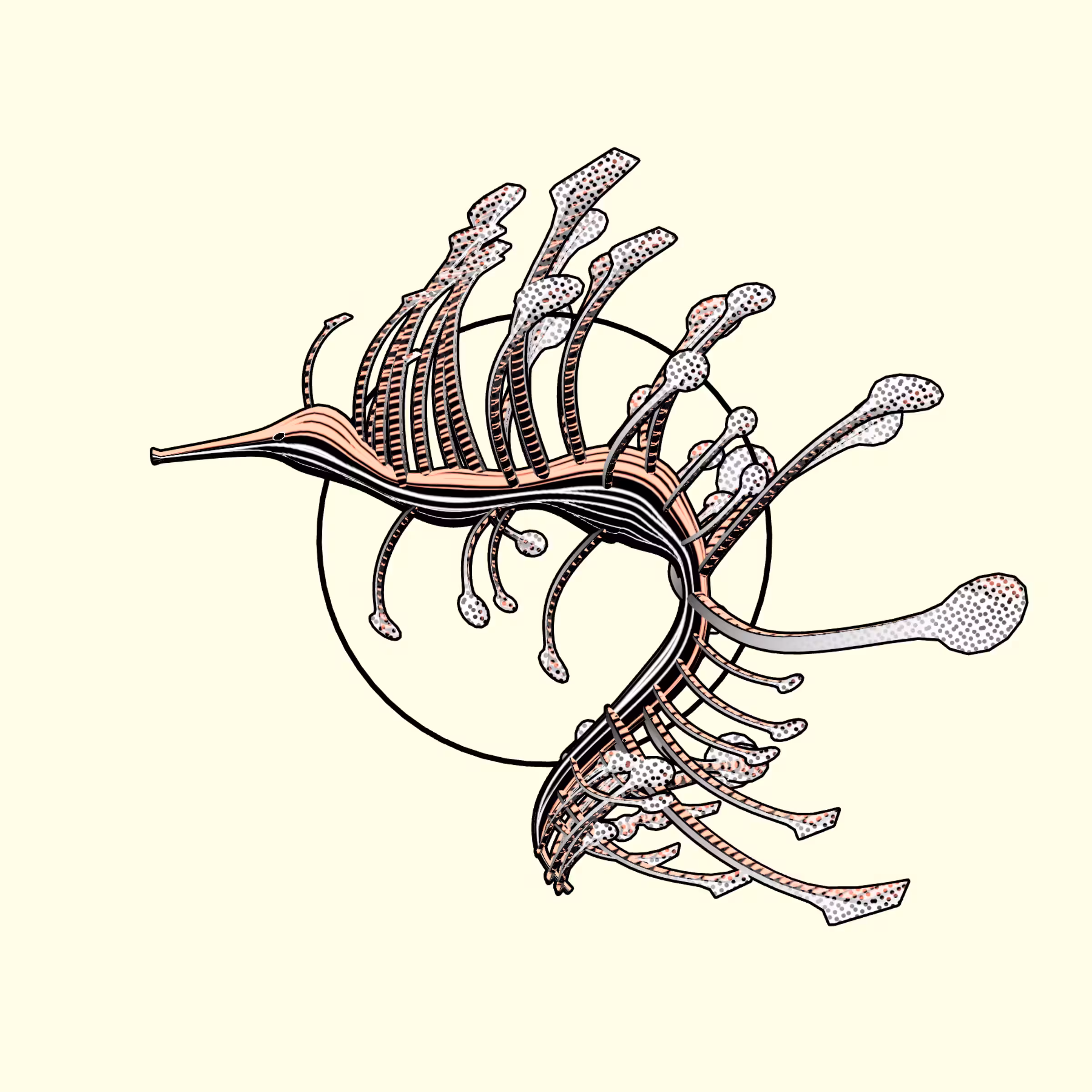 Seadragons #874