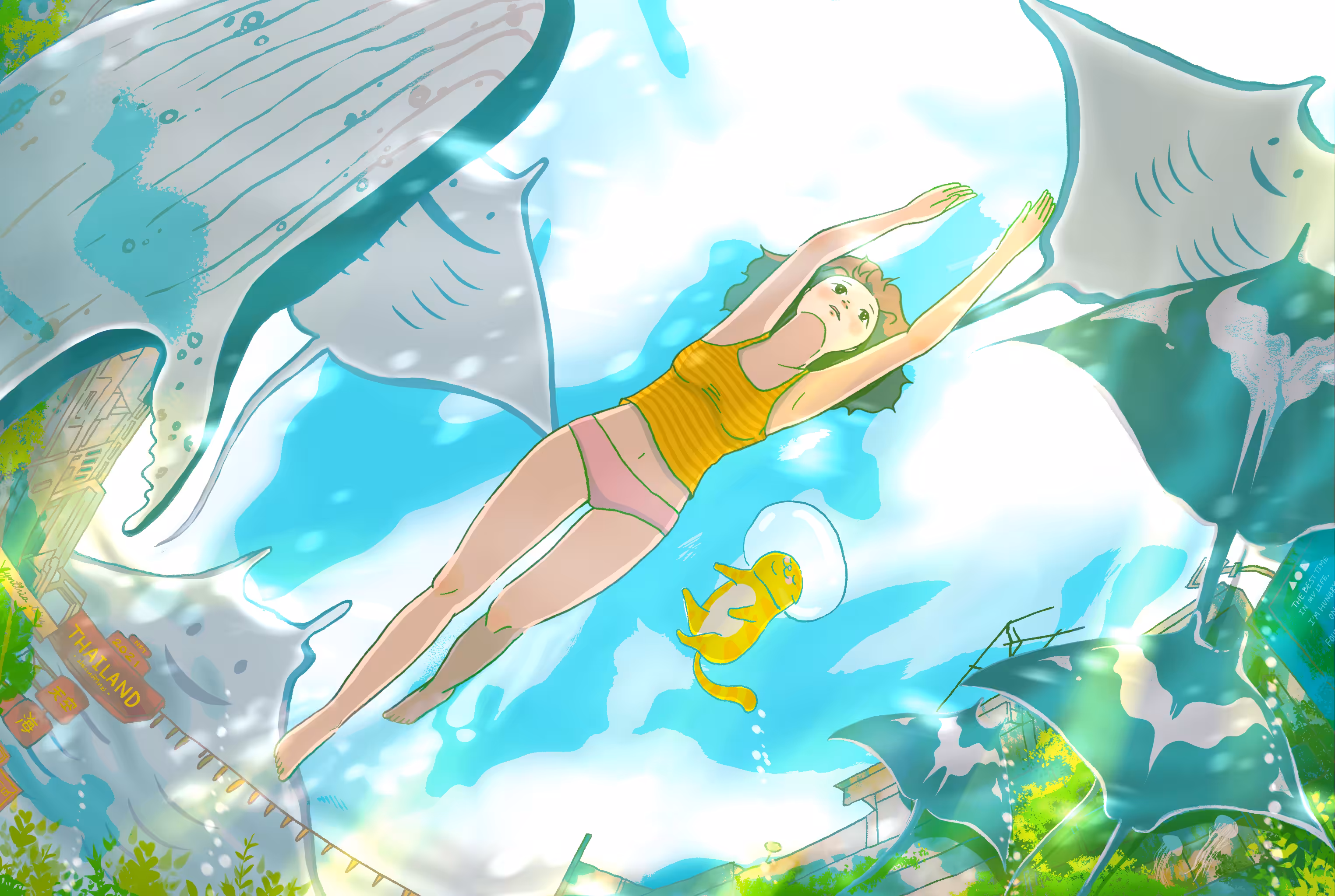 Reach your dream side.