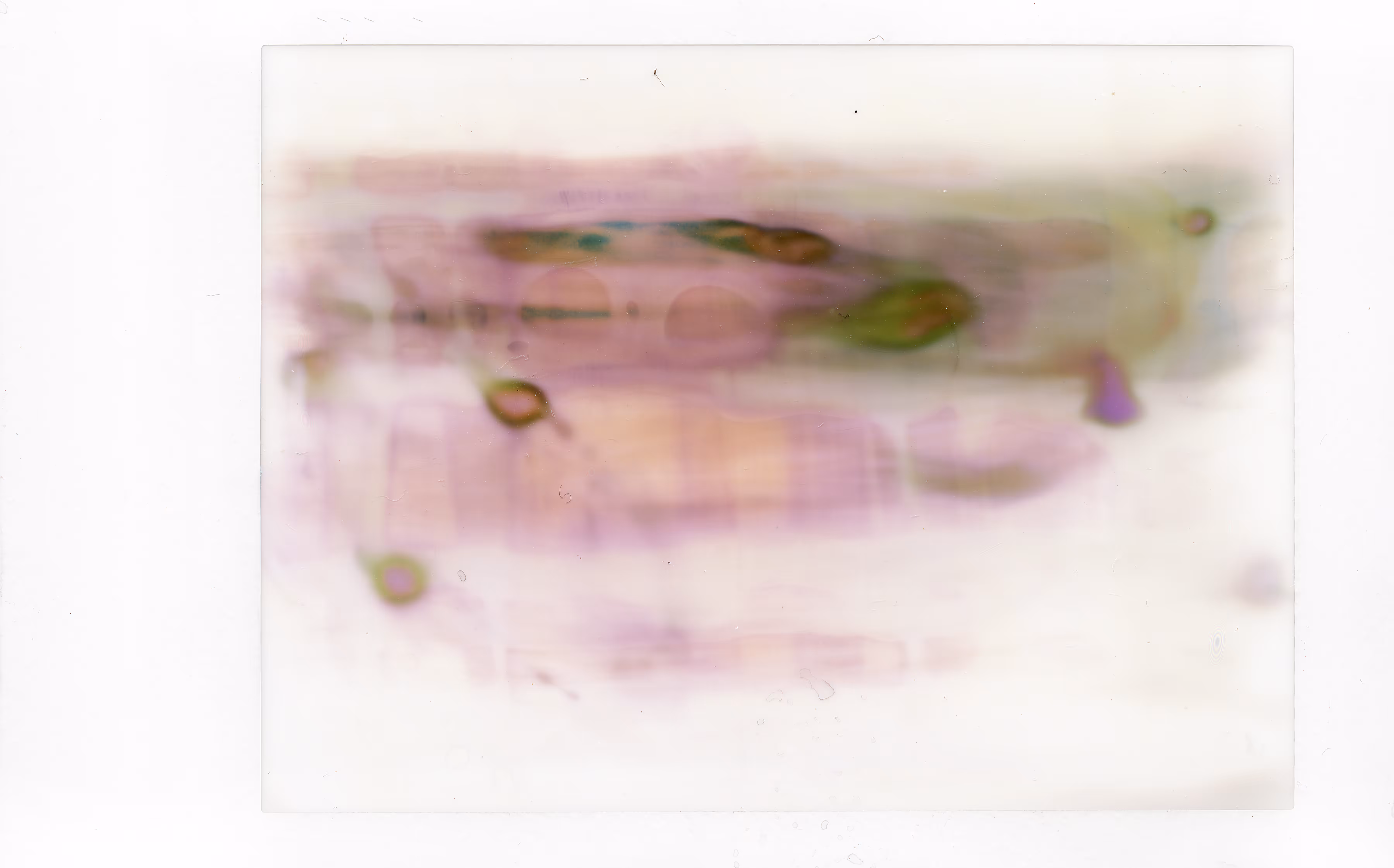 Polaroids #08