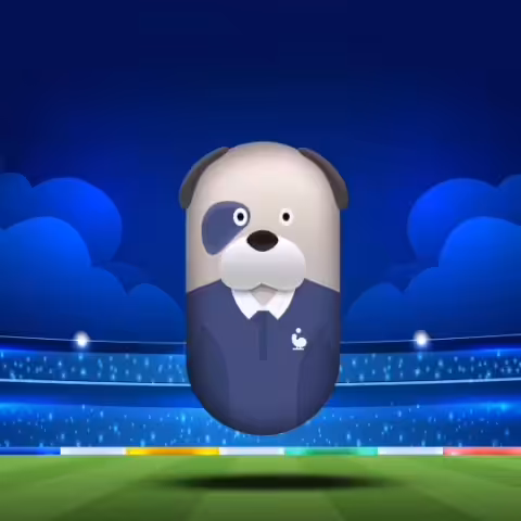 Fifa WorldCup DOG Teams