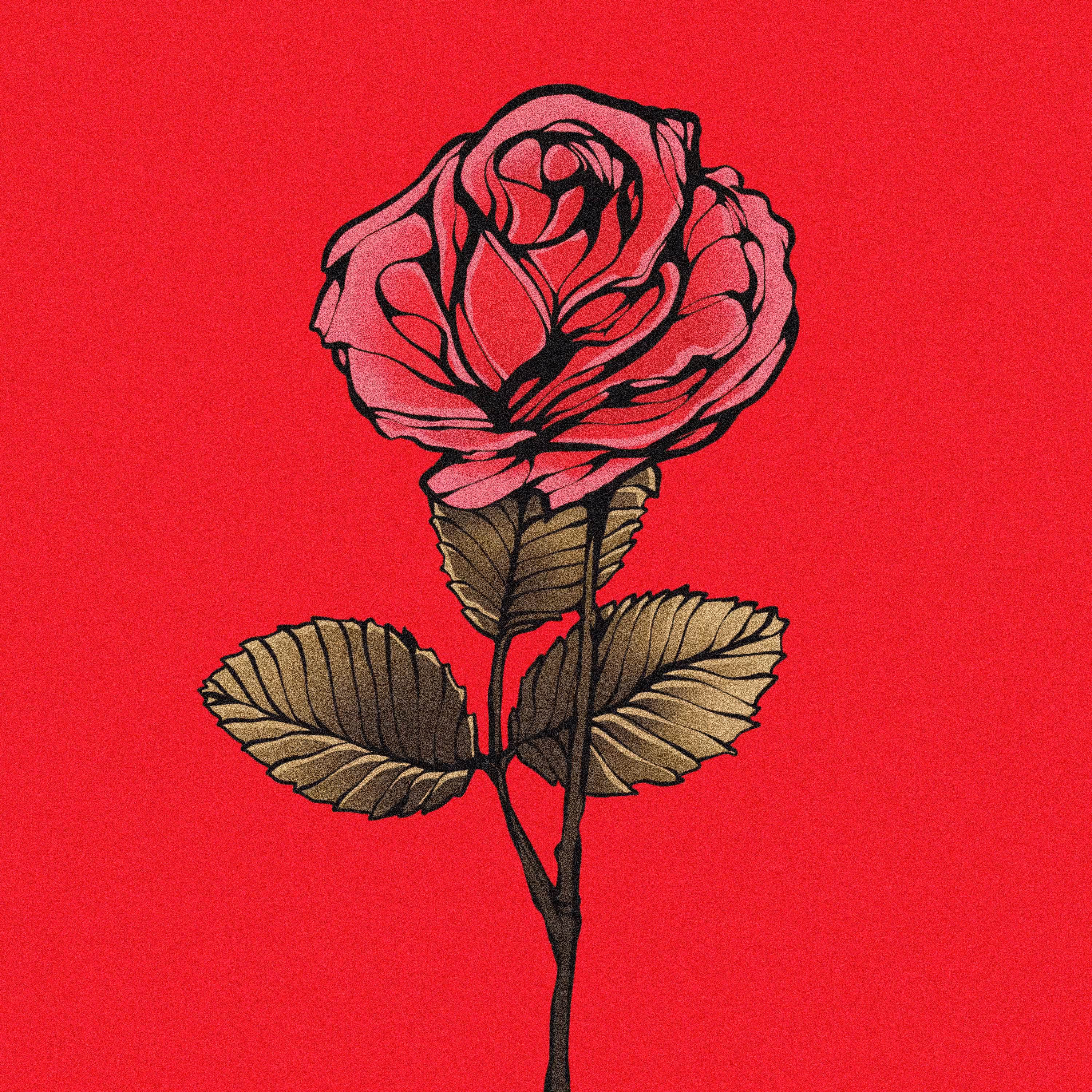 Rose' giving
