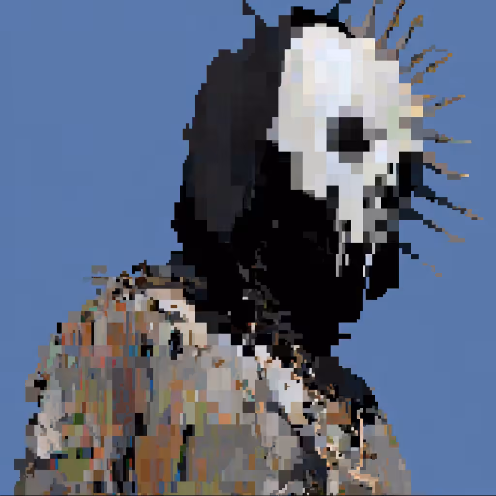 𝔢𝔳𝔞𝔡𝔢𝔯 4942