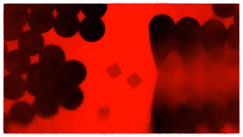 Speed of Dark #120