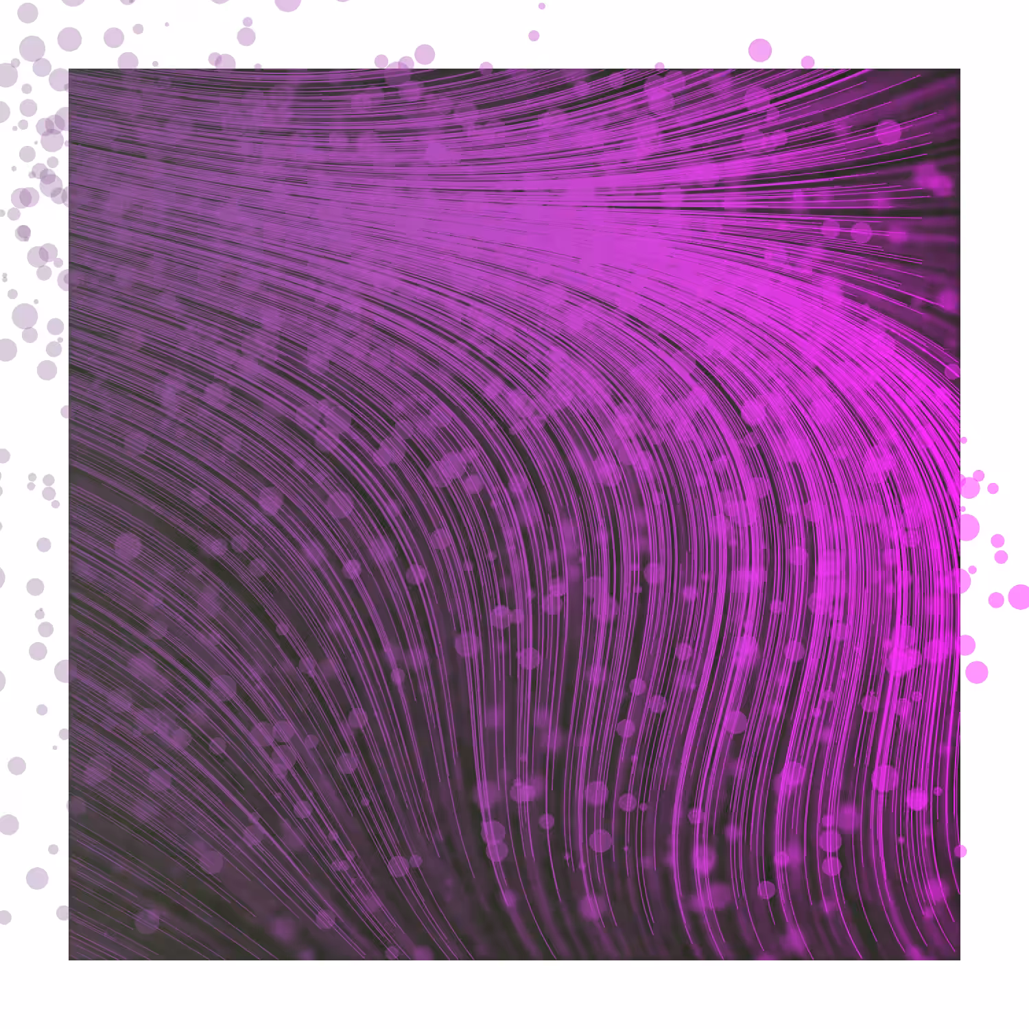 Gentle Force #8