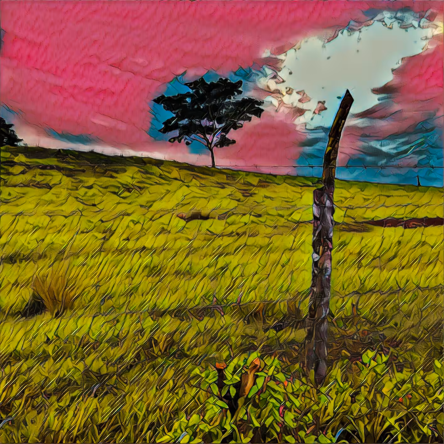 Pink Sunrise