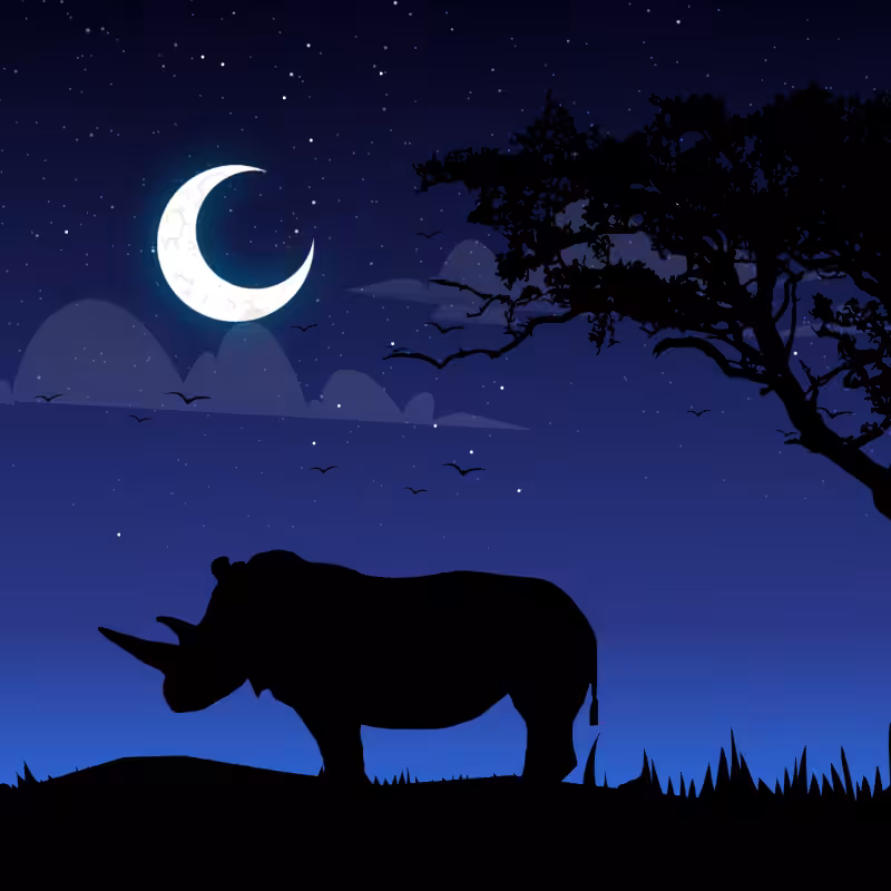 We Care...Rhinoceros #5