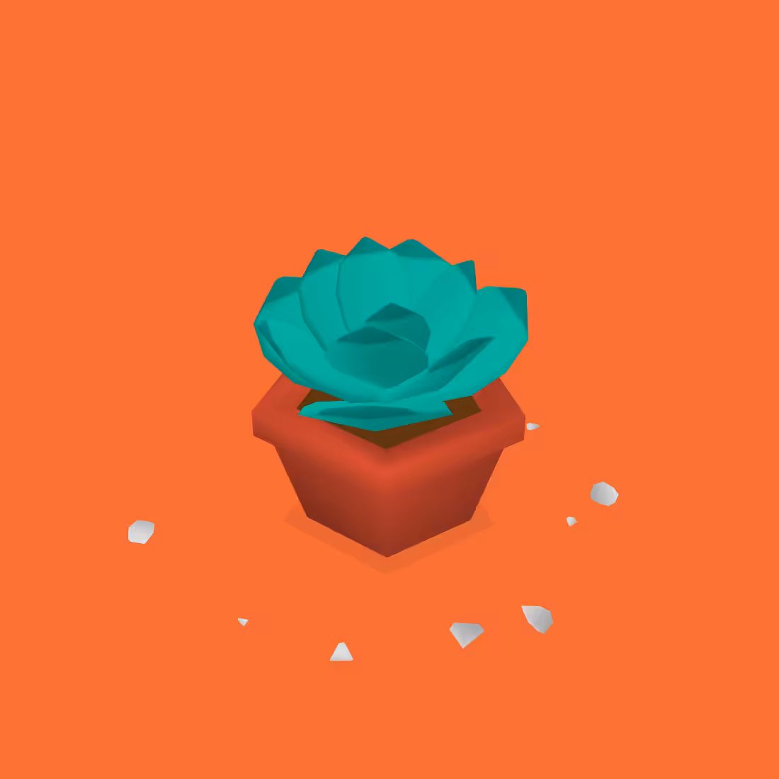 SUKULENTS #13