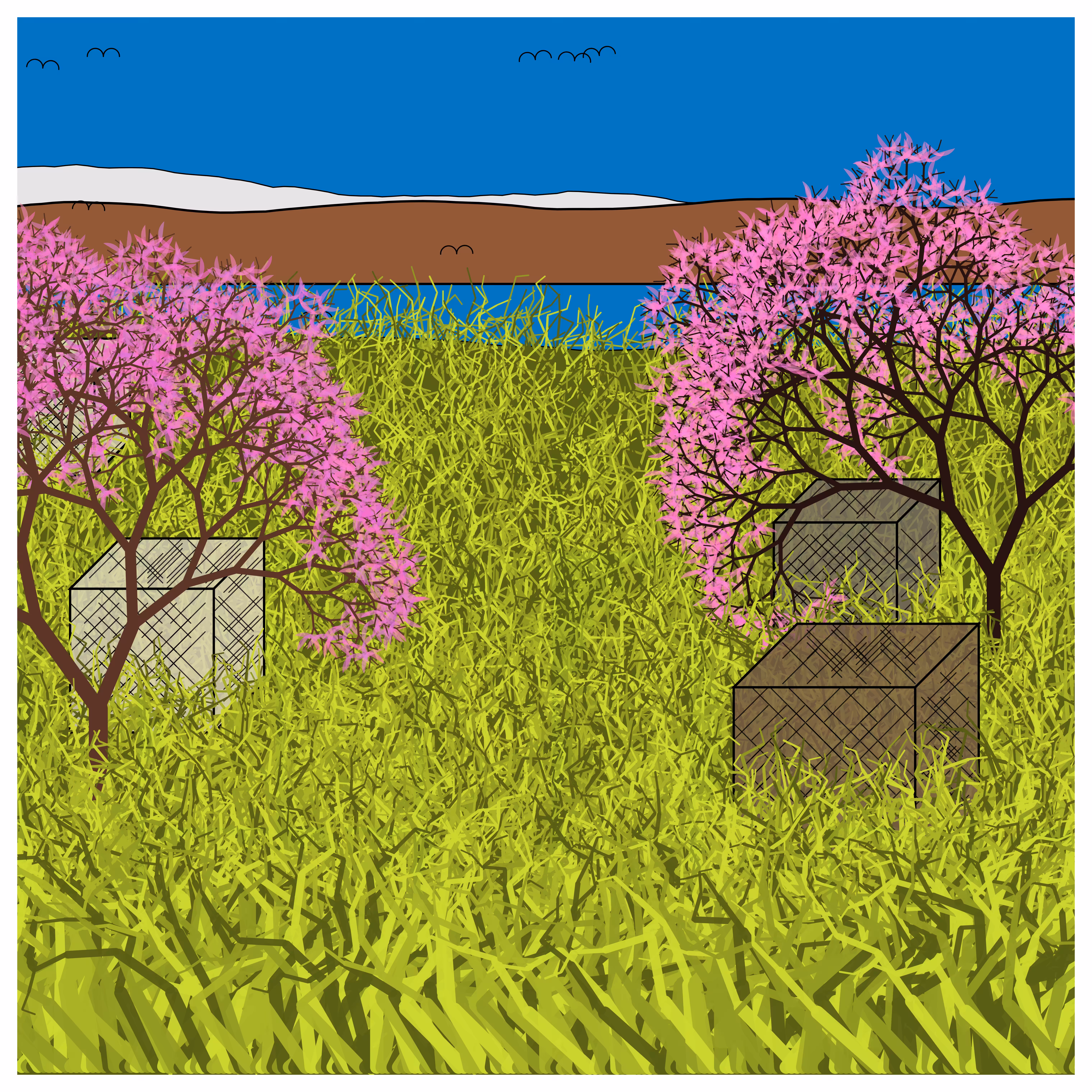 Cube Forest #37