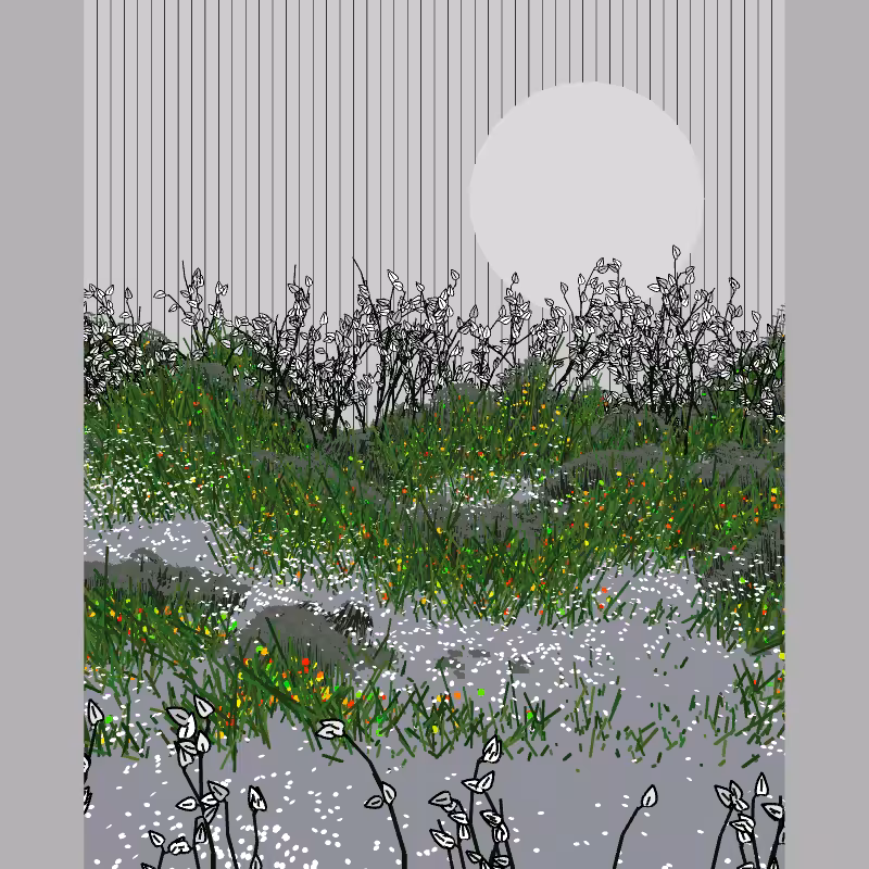 Contours #48