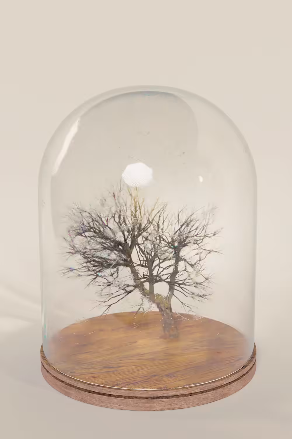 Nature in a jar I