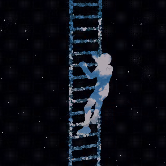 The  Long Climb Up