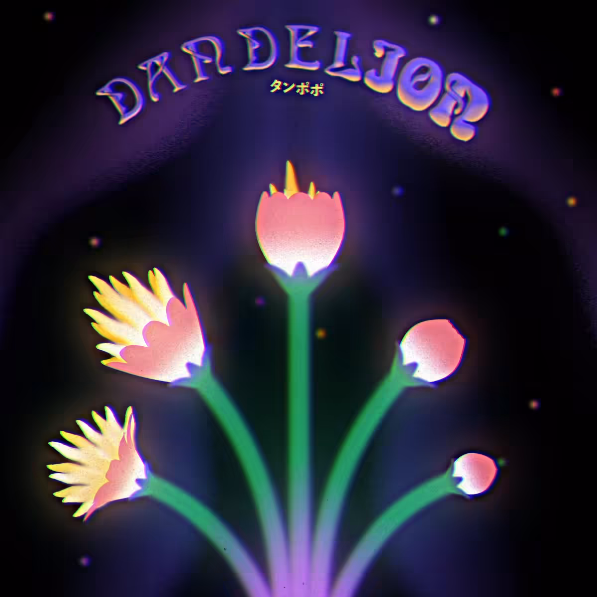 Dandelion
