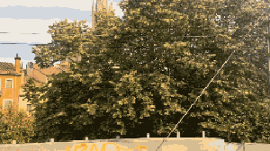 Workbook Mesh Paintings