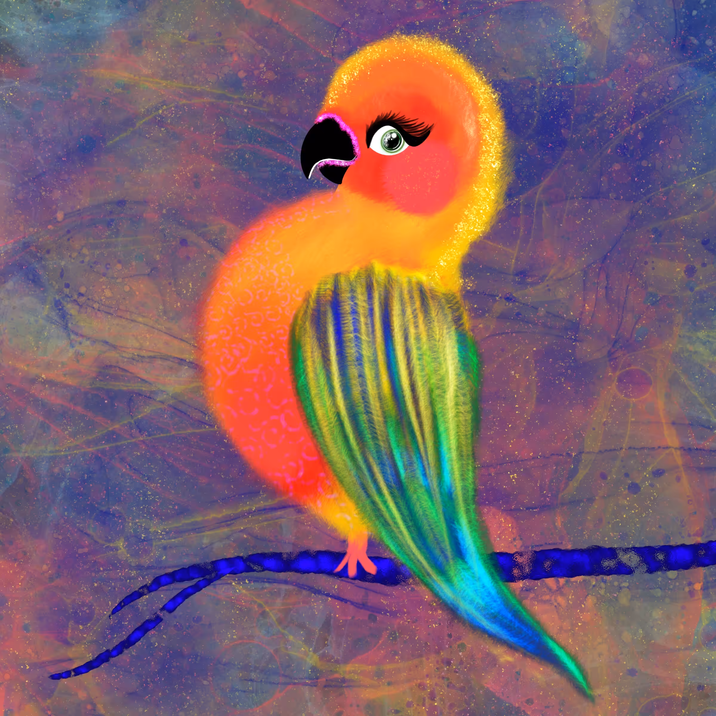 Sun Conure Parrot