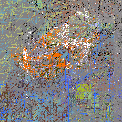 Koi
