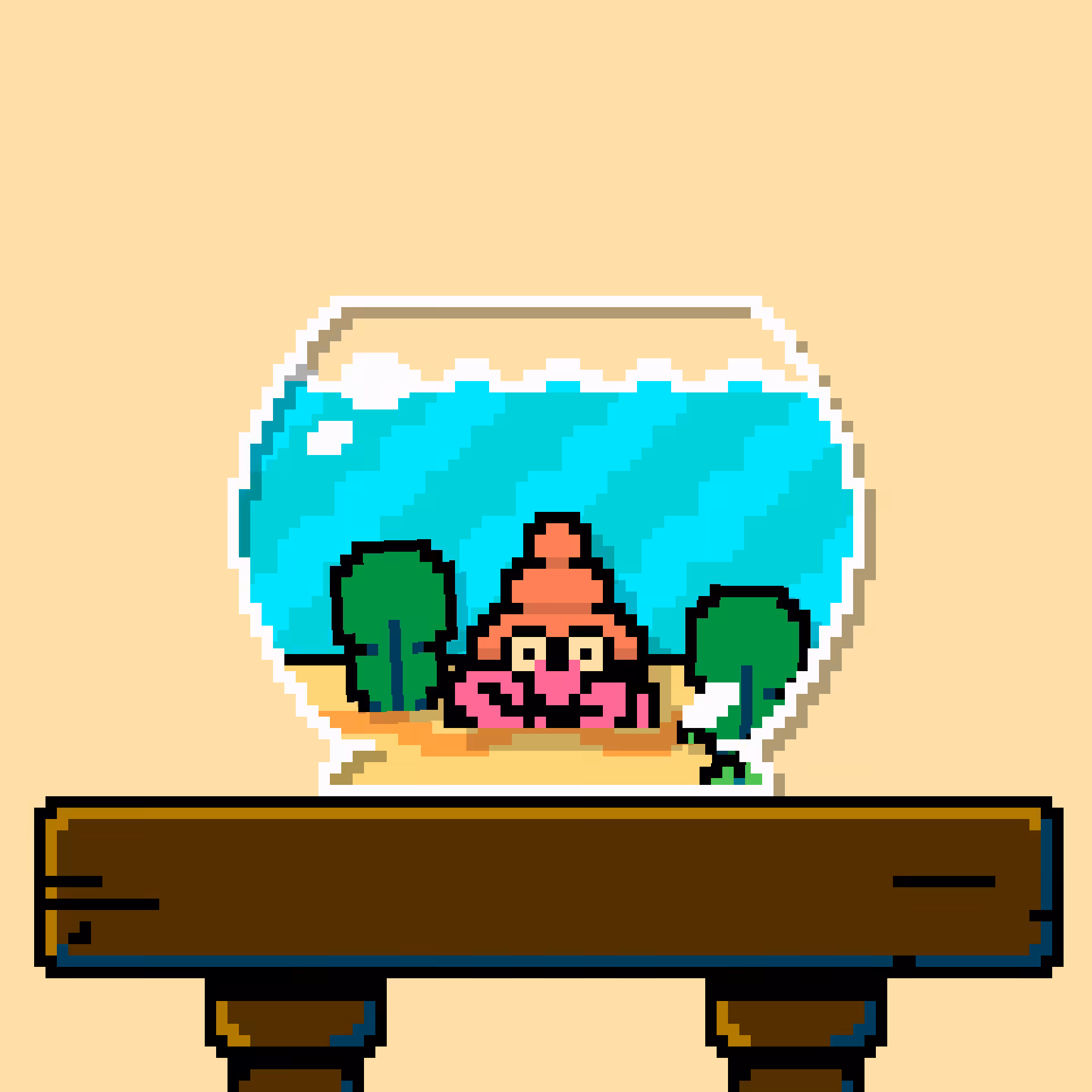 hermit crab #58