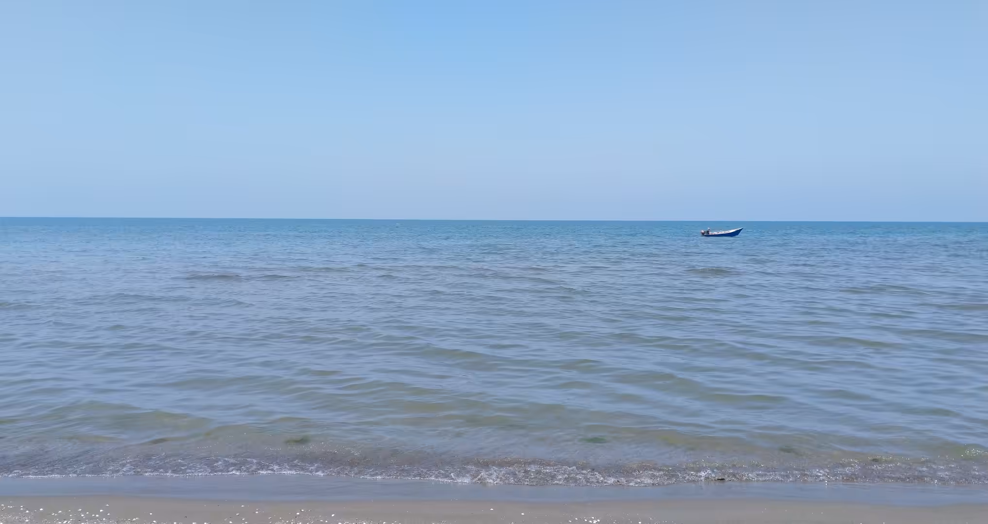 Hometown: Resting on the waves!