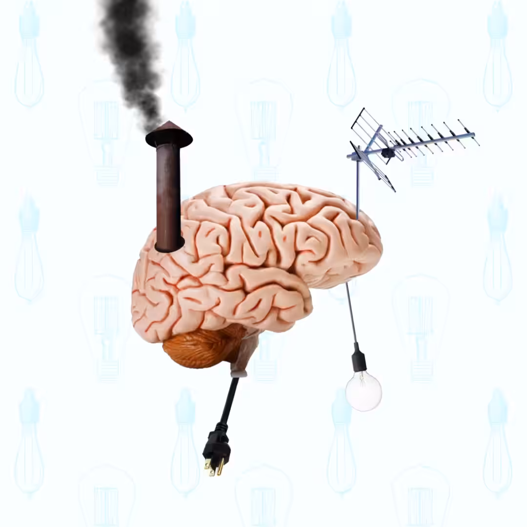 BrainRoof