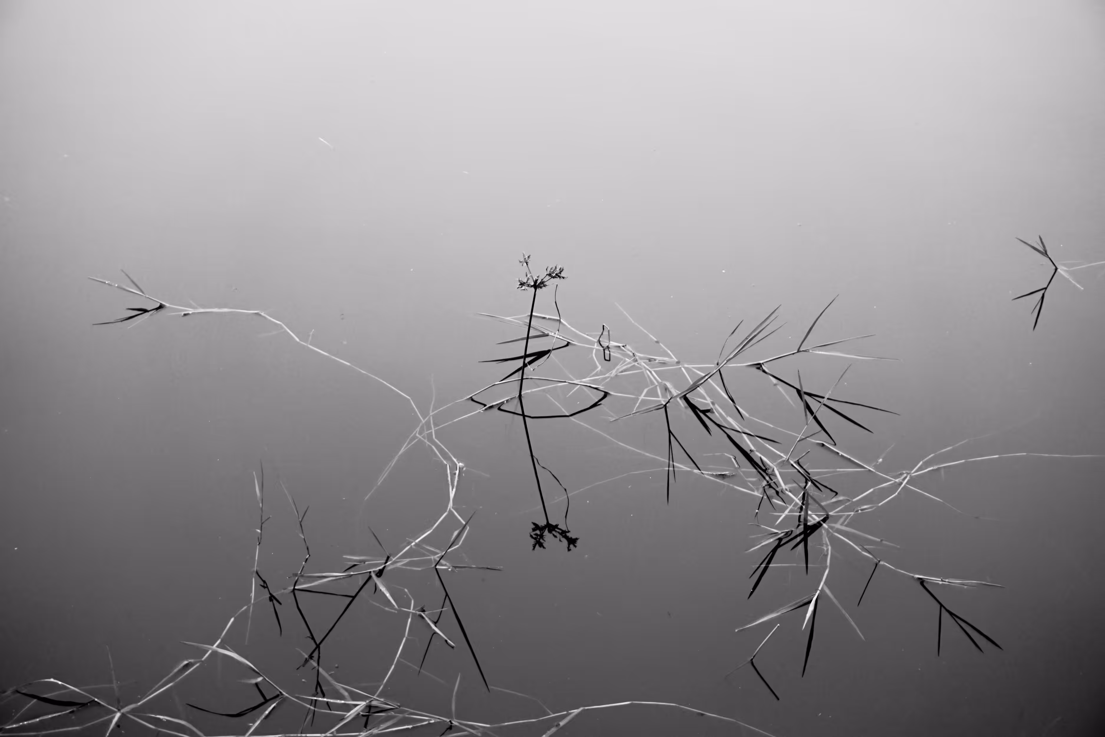 Silence on The Water