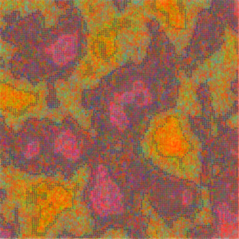 Petri 1500 #679