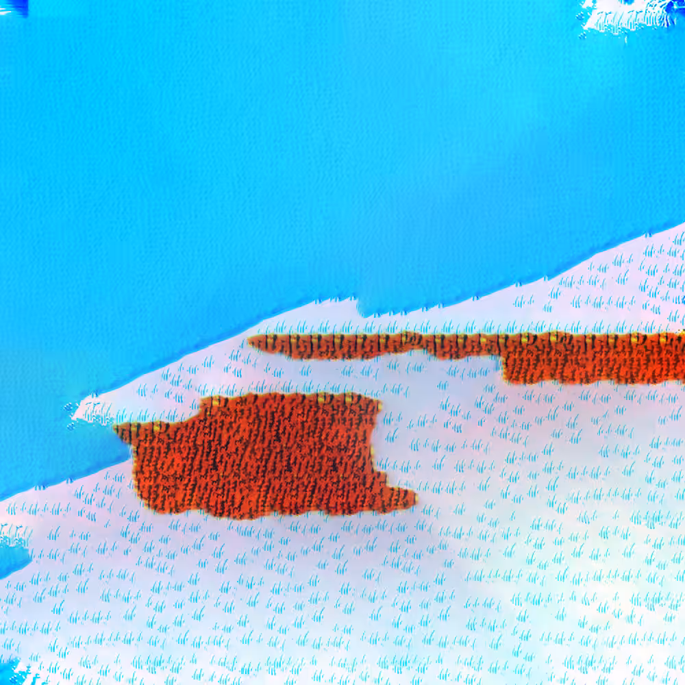 .wavForms