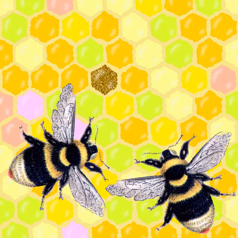 Let's Get Down To Bees-ness #6