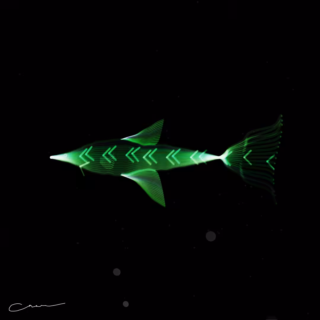 SoulFish #44