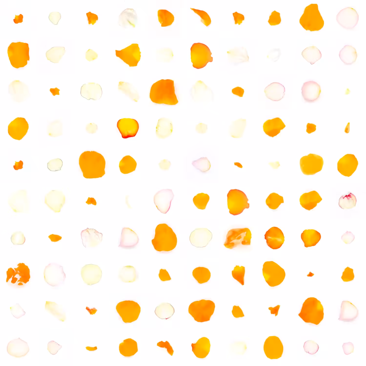 Infinite Petals 10x10#589421