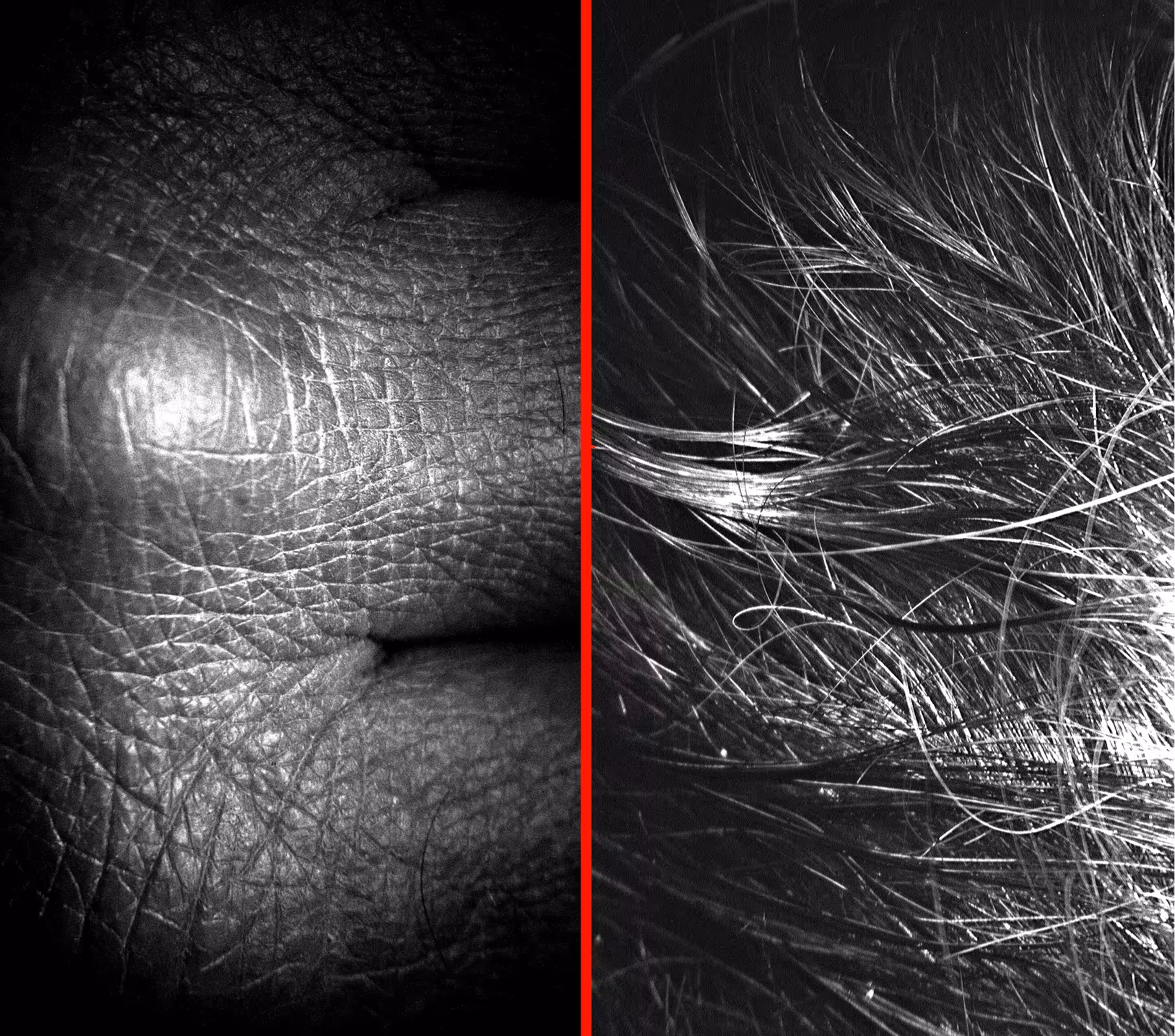 UV suite VI, Hand and Hair
