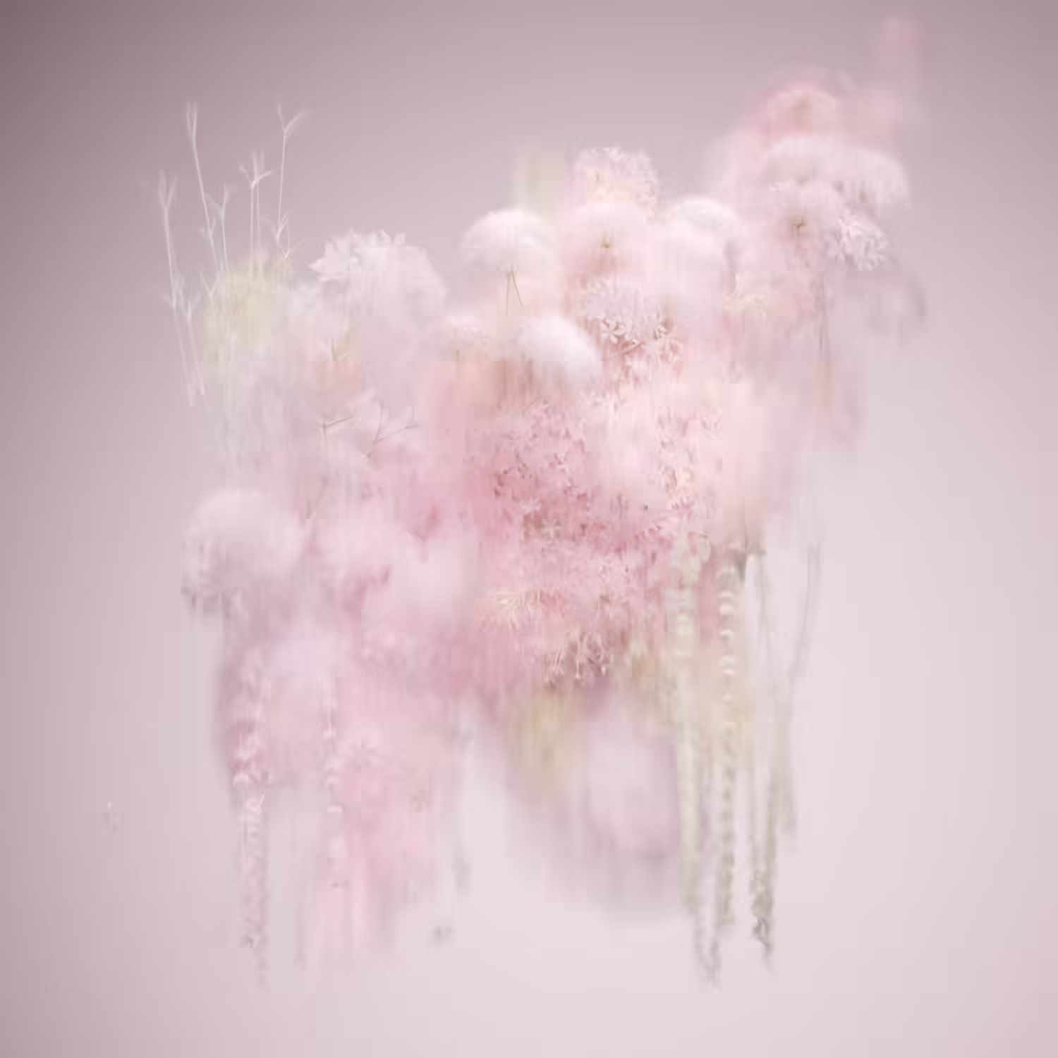 Micro Pollen I