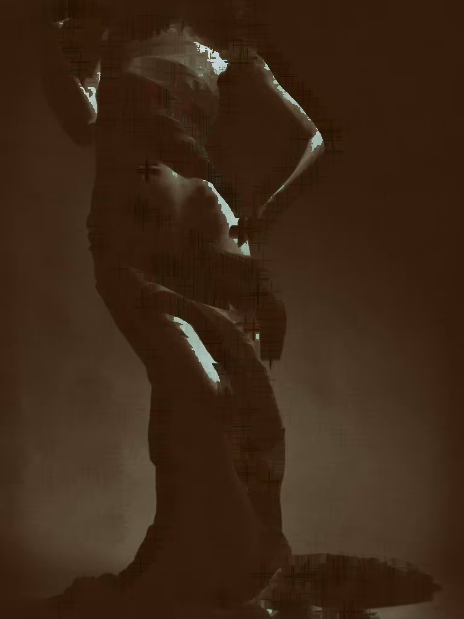 XX #17 The Silhouette