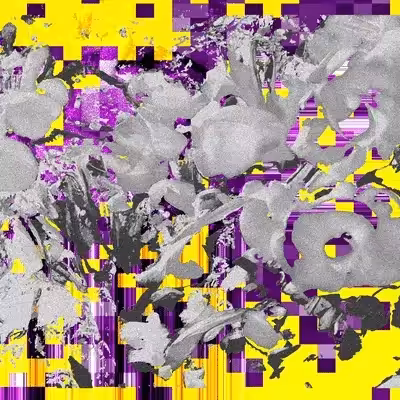 Stone Flowers #19