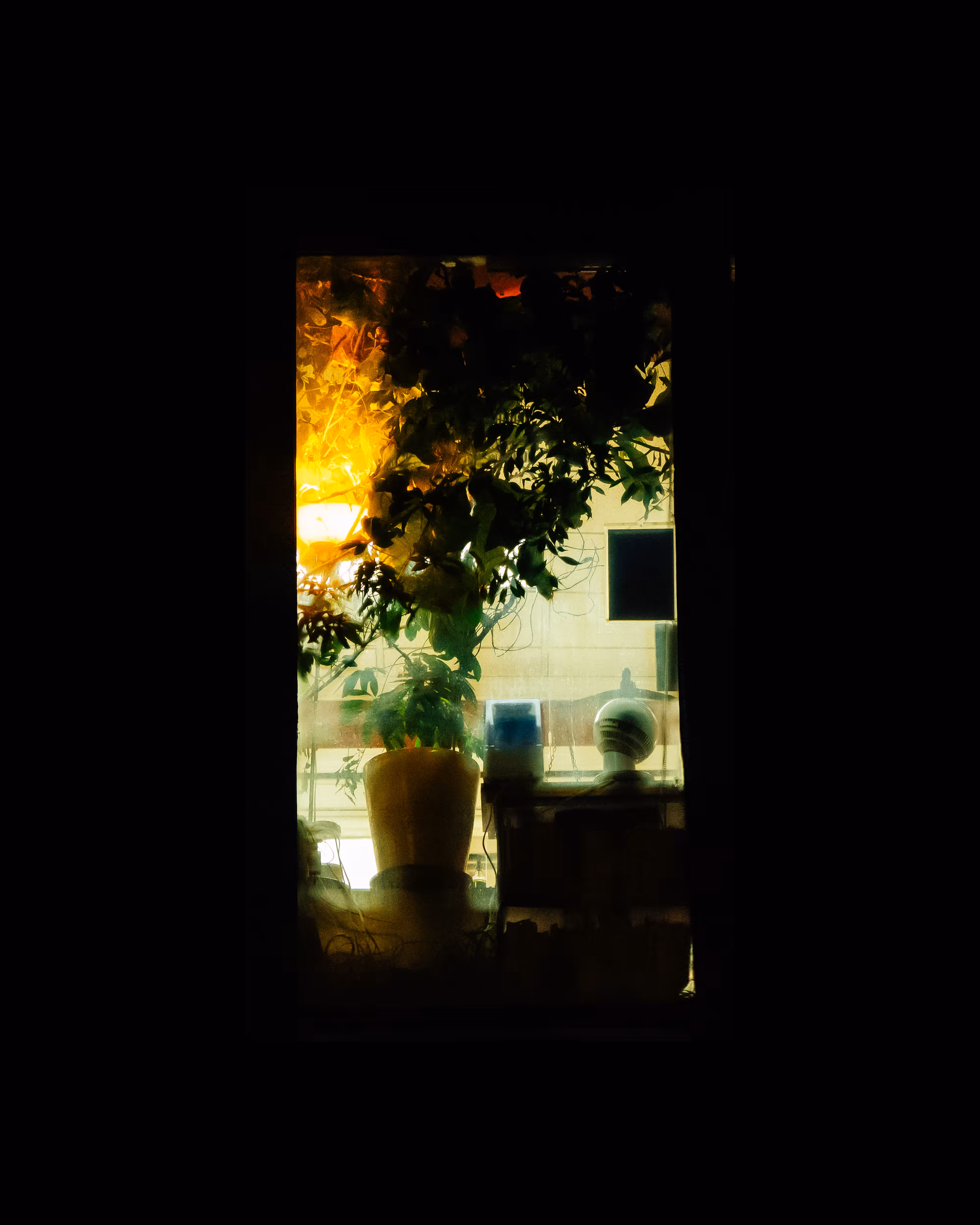 WINDOWS // NYC: WINDOW 500