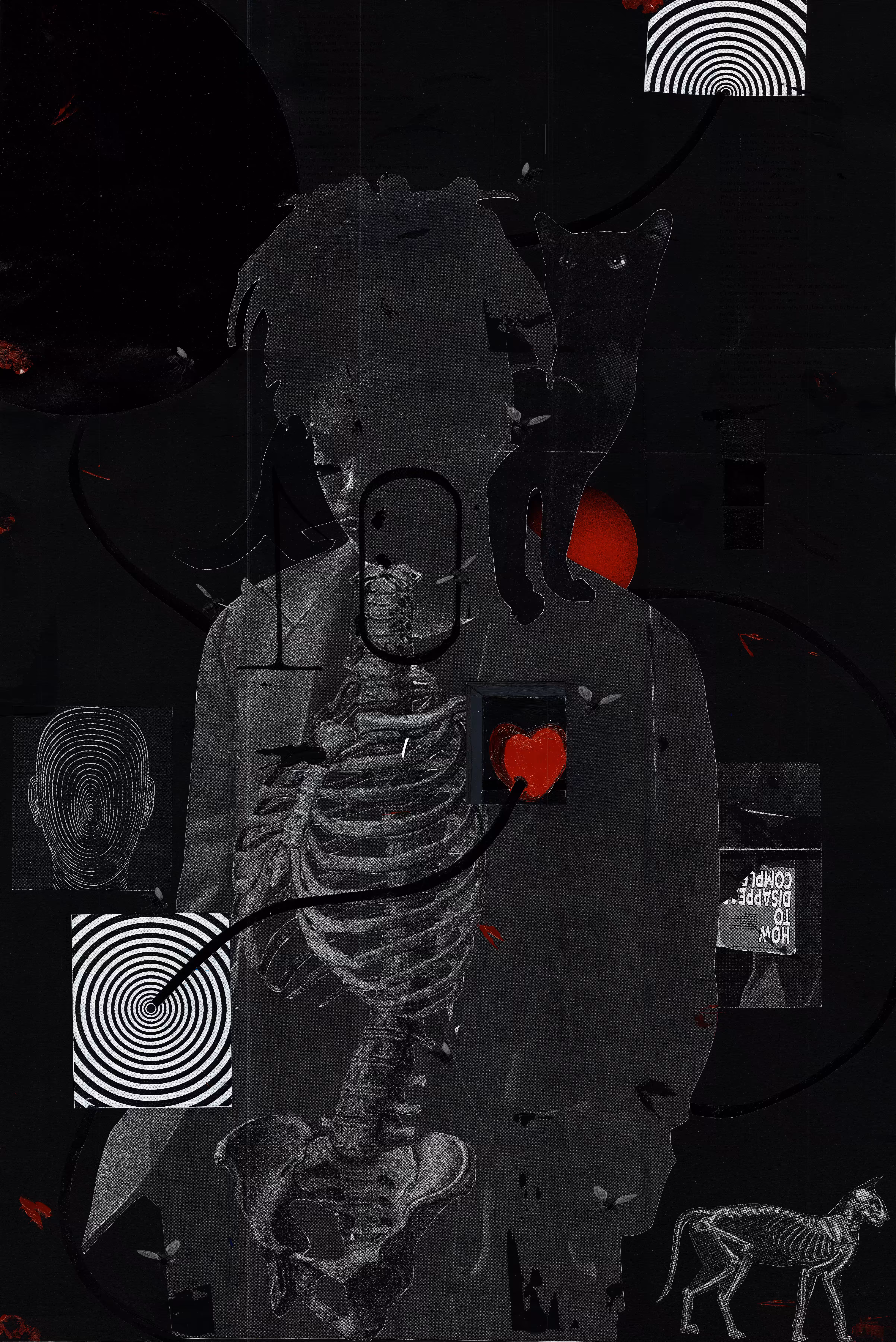 portrait of a lost man and his cat
