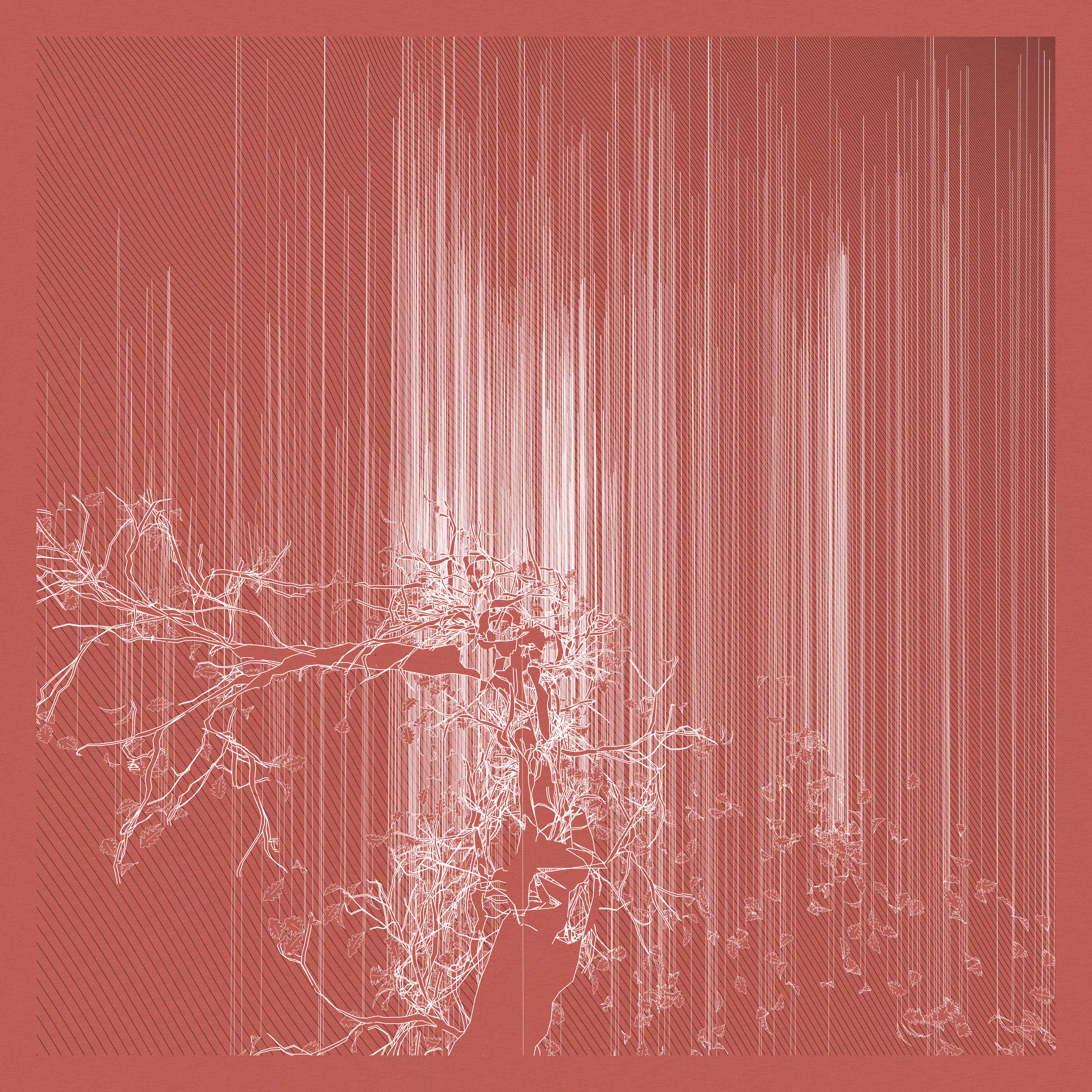 A Bugged Forest #855