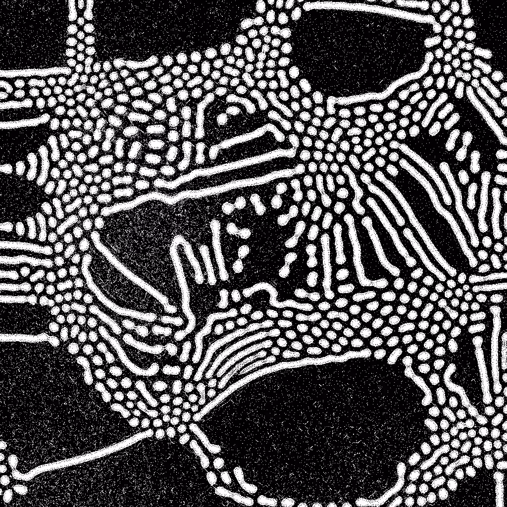 HIDDEN IN NOISE: Noise #215 