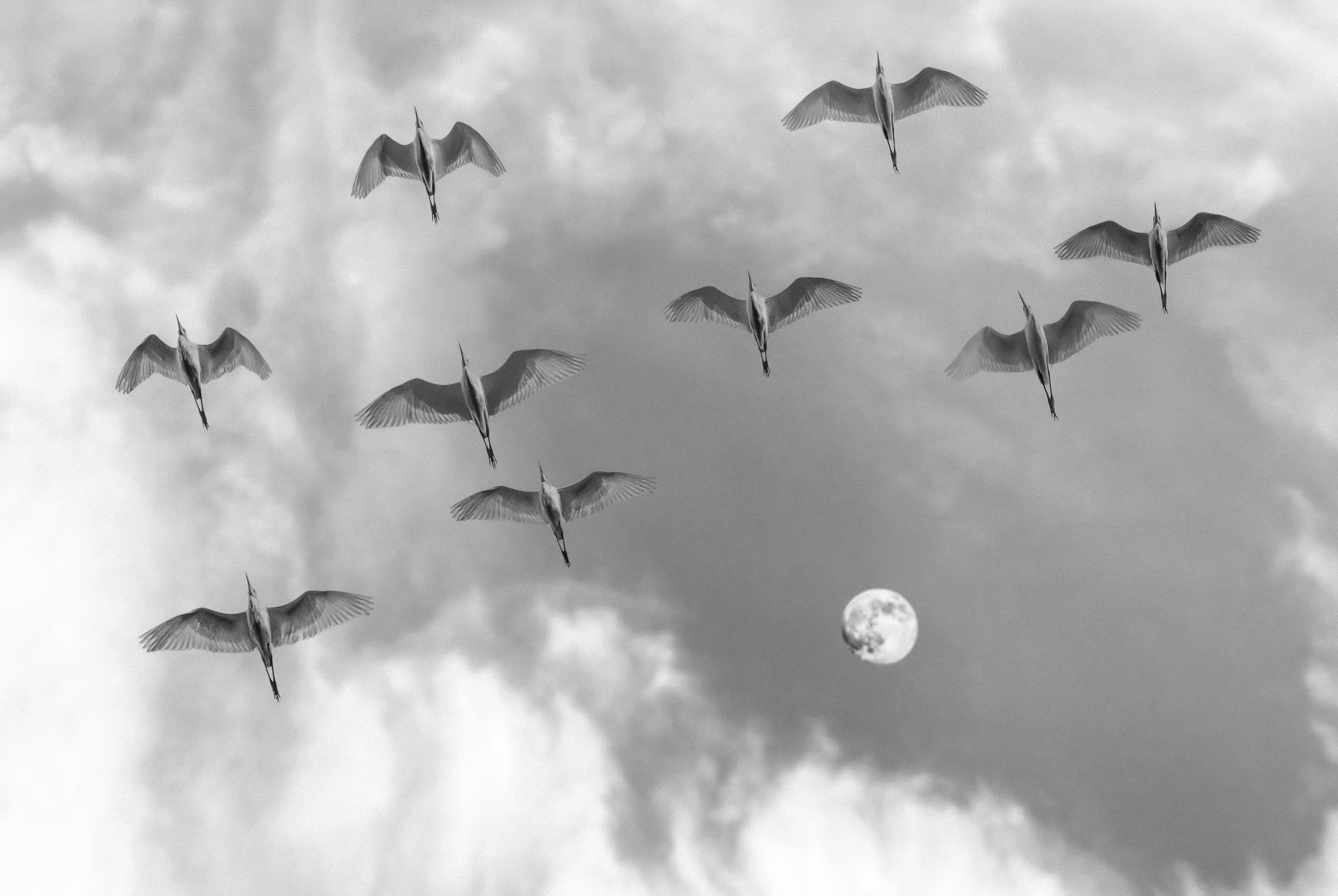 Reach for the Moon
