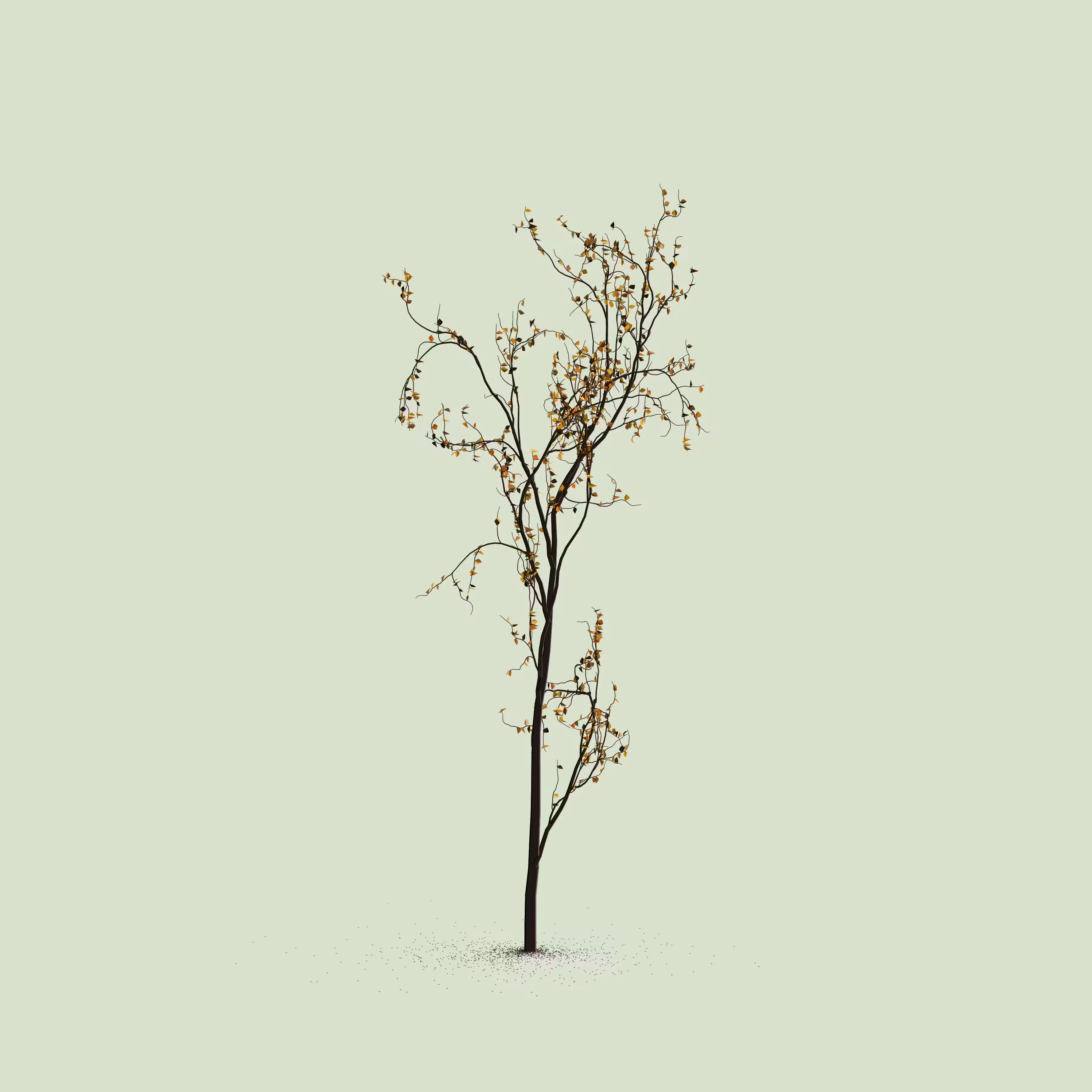 Little Trees #204