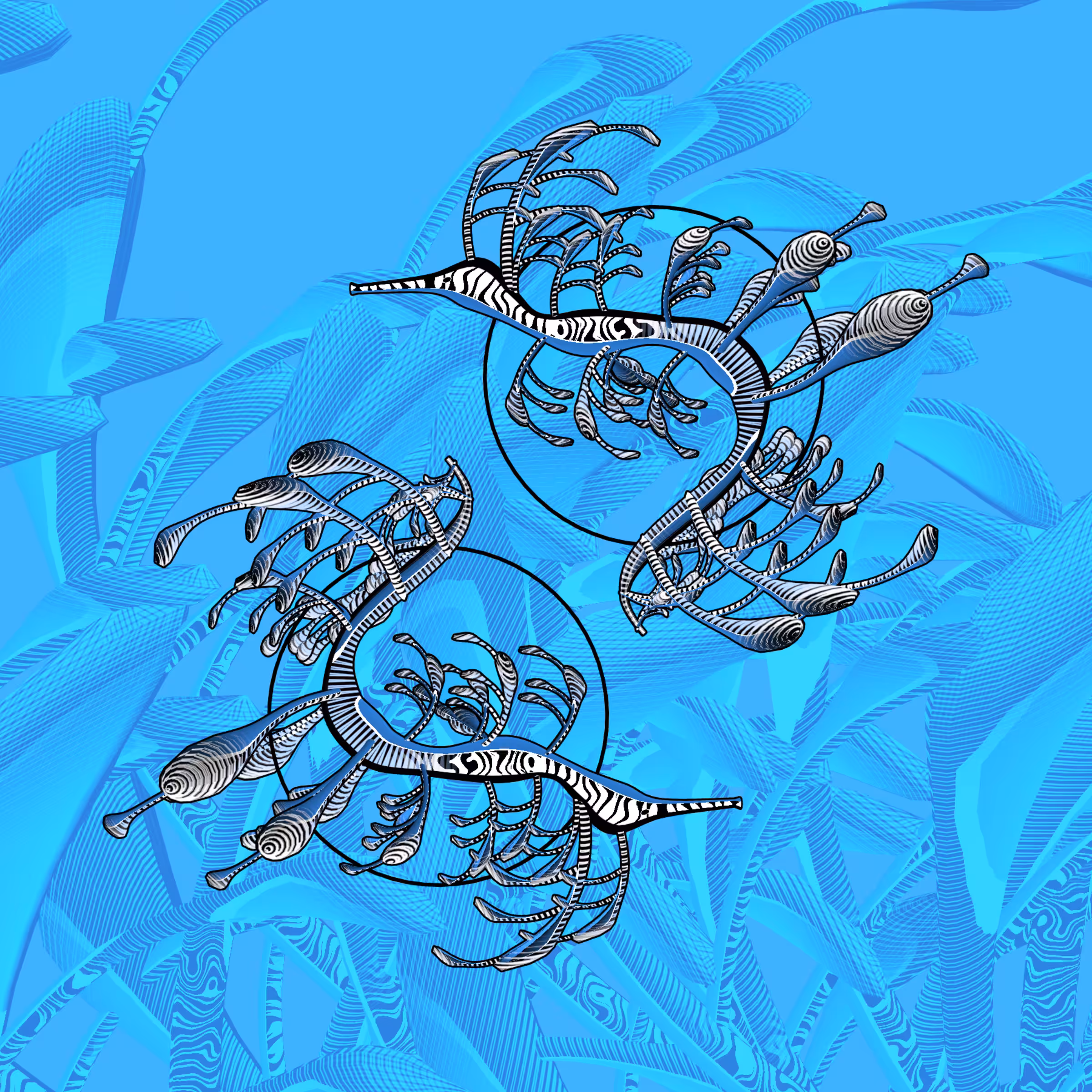 Seadragons #889
