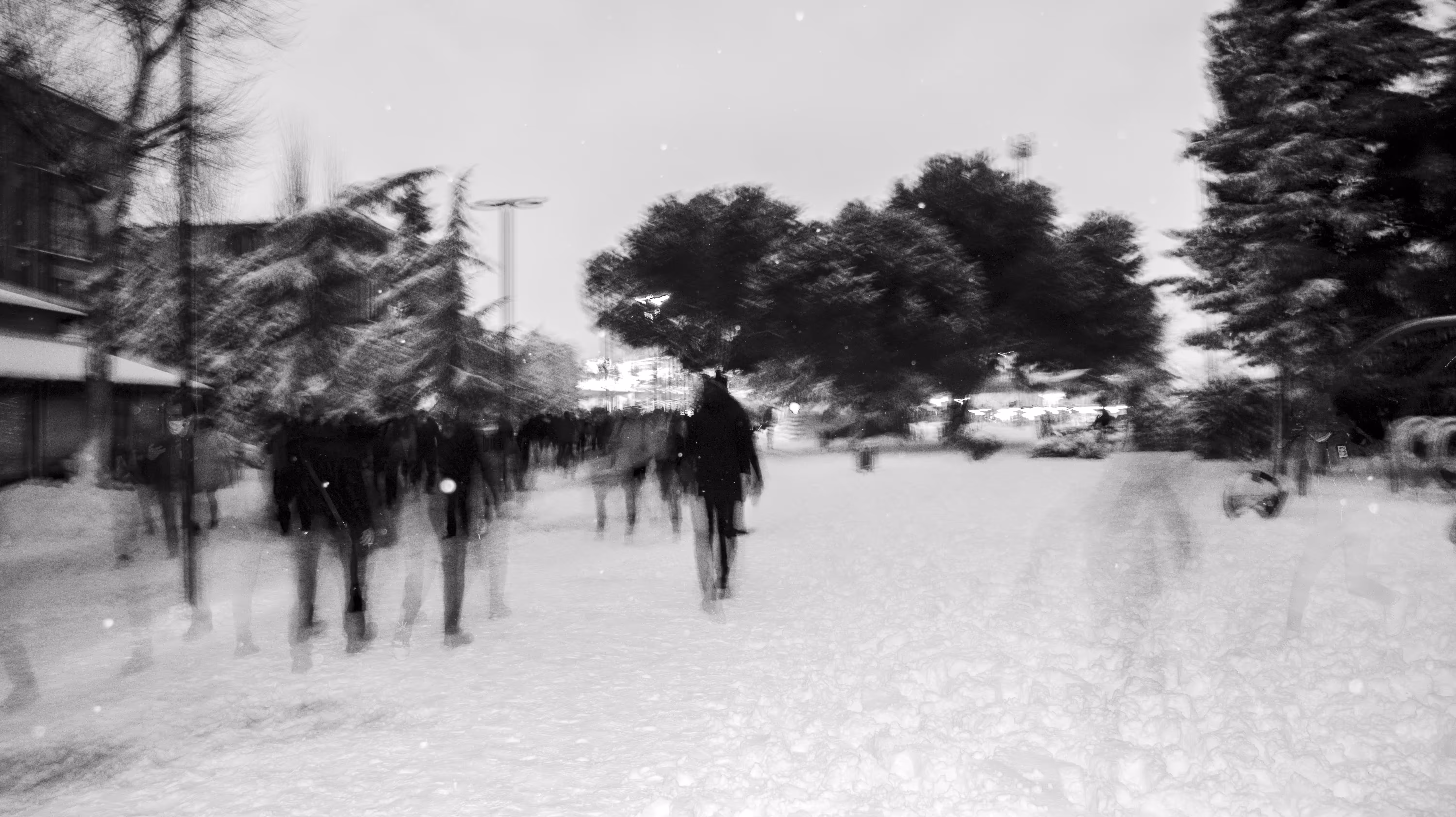 Snow Globe