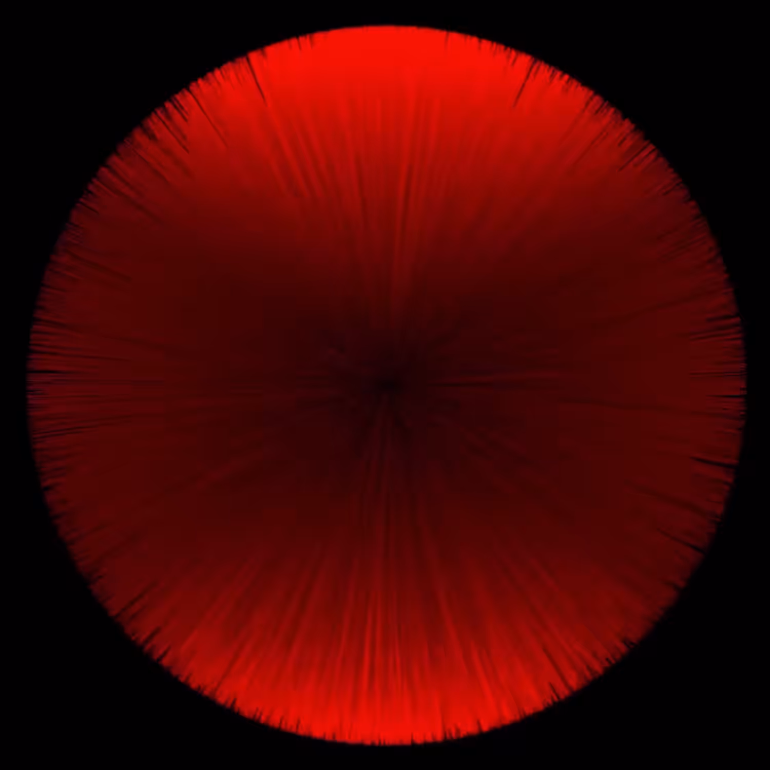 Red Wave