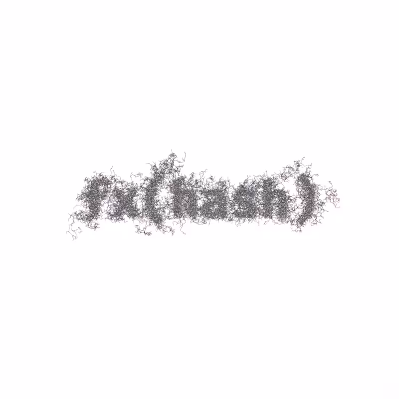 FXHASH Logo with Features #414