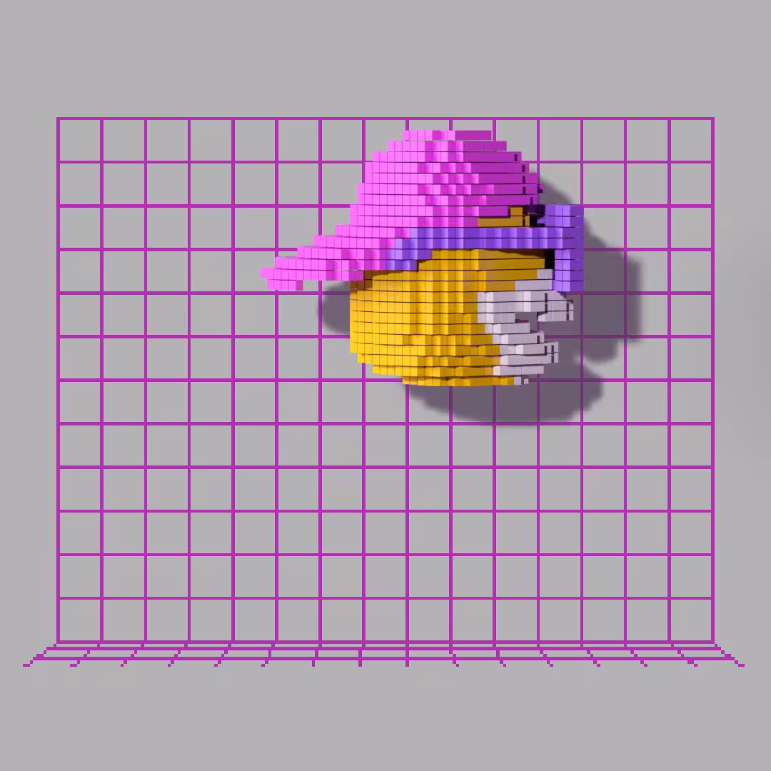 Voxel Eric 05