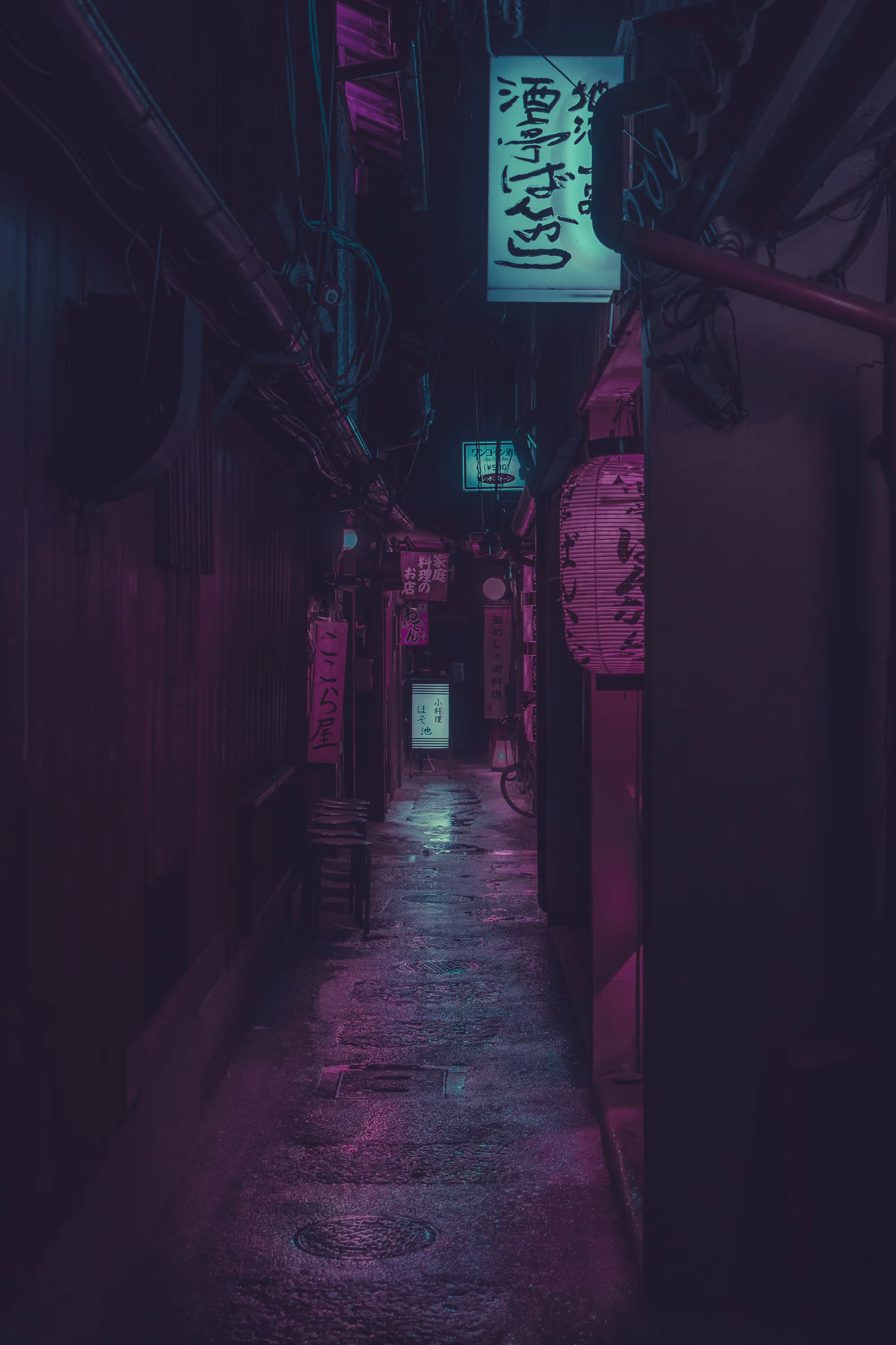 Kyoto After Dark